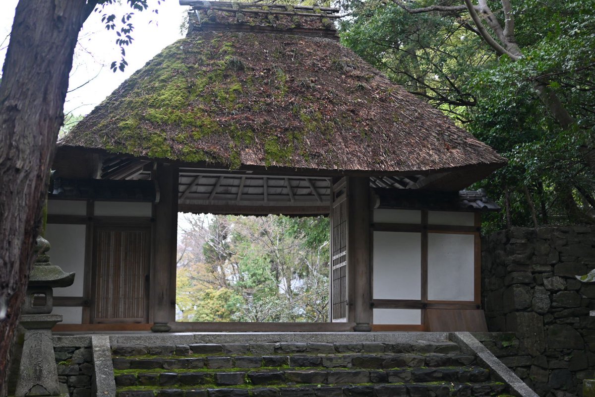 kajusxa's tweet photo. 法然院
このクオリティの庭園で無料で入れるお寺は京都ではなかなかないと思う https://t.co/lJHR9mjiT3