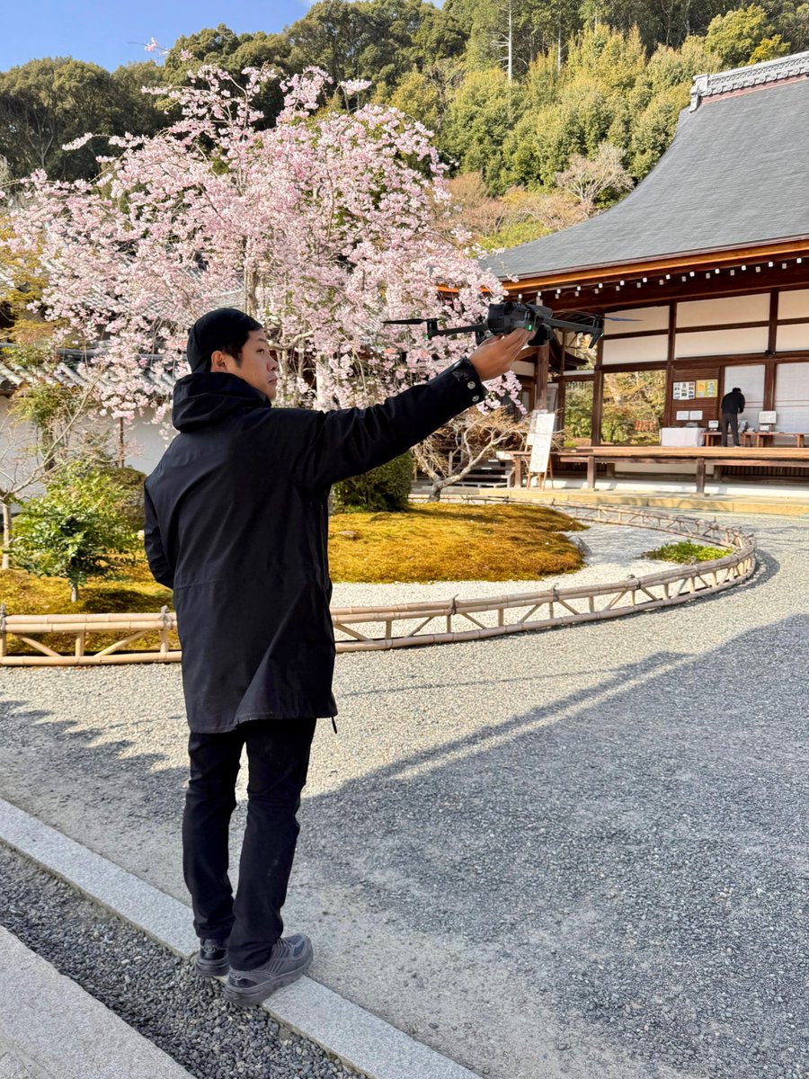 de_co_jp's tweet photo. お寺もバッチリ撮影しています！⛩✨ ここは京都、桜と歴史あるお寺の組み合わせはやっぱり最強です…！撮影した映像は、後日YouTubeにアップ予定です🌸📷

https://t.co/quQFG3ZGqV

#桜ドローンプロジェクト #京都の桜 #お寺と桜 #ドローン映像  #日本の美しい風景 #SAKURA https://t.co/Az7DYmKUwA