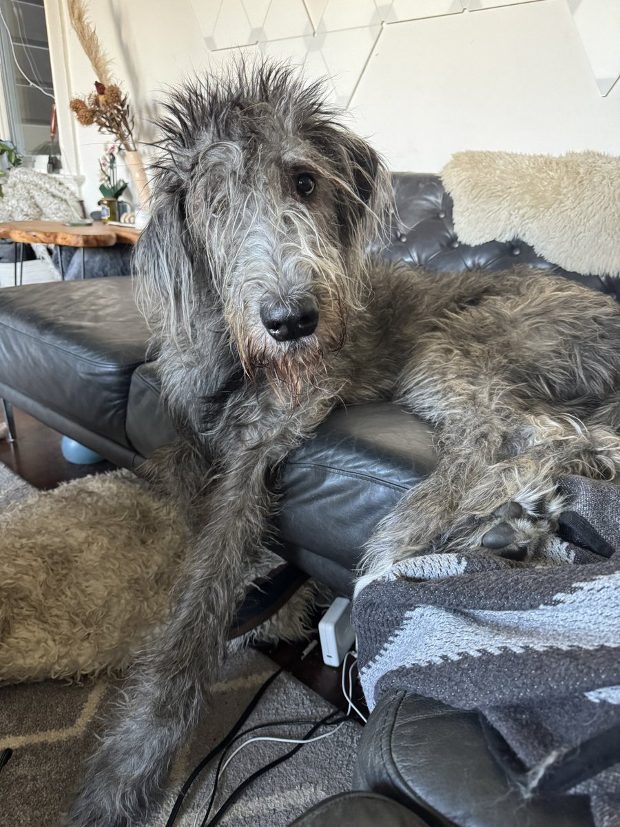 is that a piece of cheese in your hand or am i just happy to see you