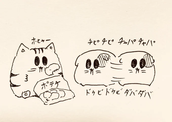 休日いつもこの時間に起きてしまう…今日は休みです🐱 