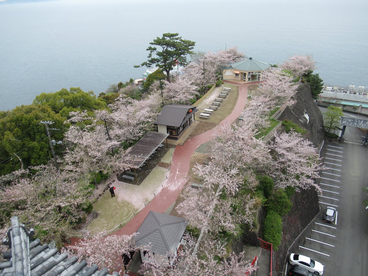 AtamiCastle's tweet image. 熱海城さくら開花状況です。本日昨日の雨でお城前桜は葉桜となりました。庭園手前も葉桜となり、庭園奥は何とかまだ見れる感じです。#熱海城 #熱海 #葉桜 #桜 #さくら #ソメイヨシノ #Atami #SAKURA #Atamicastle