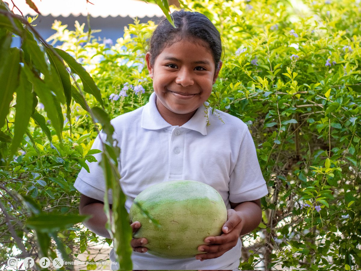 ¡Así vivimos nuestro Festival de Tradiciones de Verano!

Una mañana llena de alegría, creatividad y sabor, donde disfrutamos de una colorida Pasarela de Verano y una deliciosa Presentación de Platillos Típicos de la Temporada.