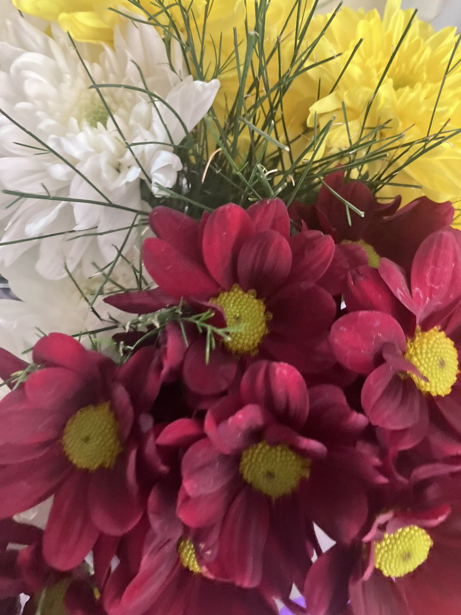 DRMC95's tweet photo. Me trajo flores sorpresa a mi casa para pedirme perdón, lo amooo😭😭 https://t.co/v83FJTchrp