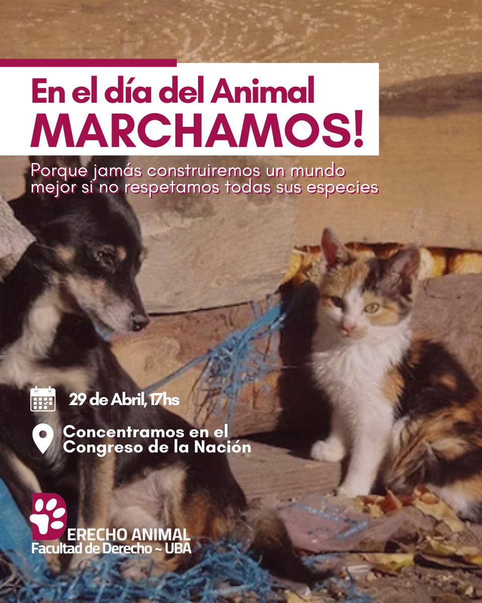 El 29 de abril, día del Animal, a las 17h marchamos al Congreso.  Mes pedimos una vez que seamos si voz, seamos los que los defienden de tantas injusticias! Los esperamos!!