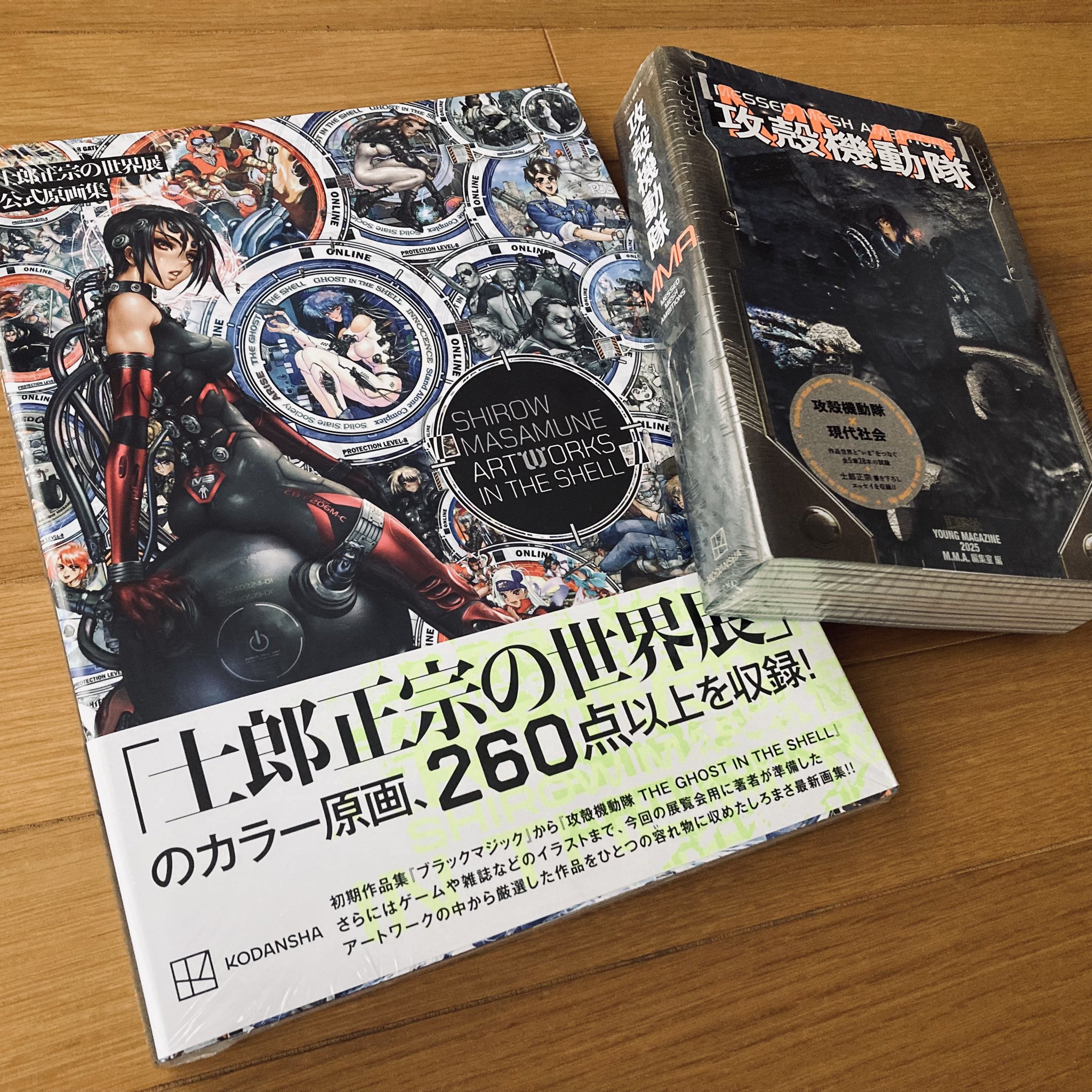 士郎正宗の世界展公式原画集 士郎正宗／著　美品 士郎正宗の世界展 公式原画集 SHIROW MASAMUNE ARTWORKS… - メルカリ