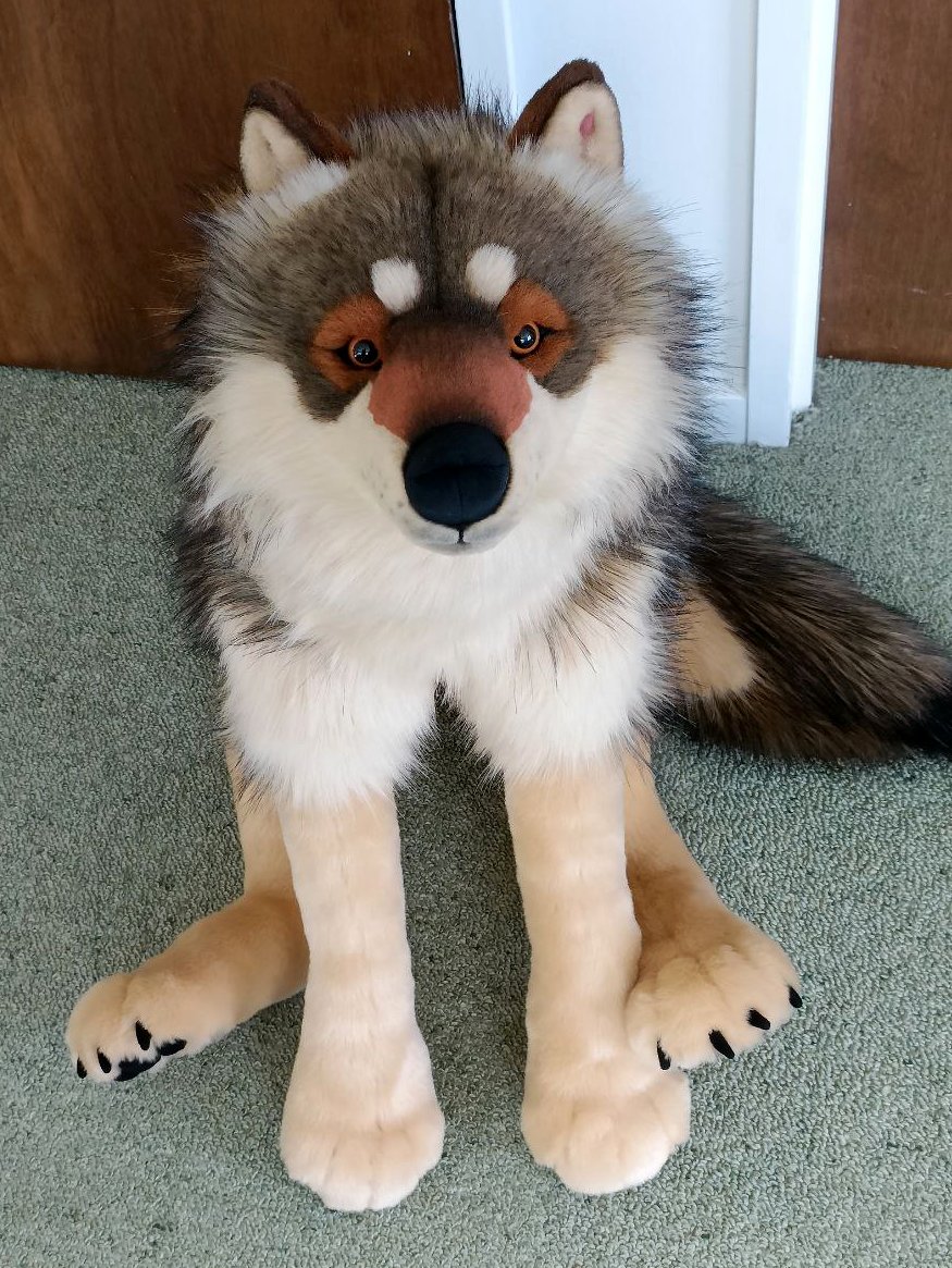 This caramel colored Anoana series pup is done a ready to go home.
I will be making one more in this color (unless I have enough for 3)
freakhoundstudios.com/swolf3