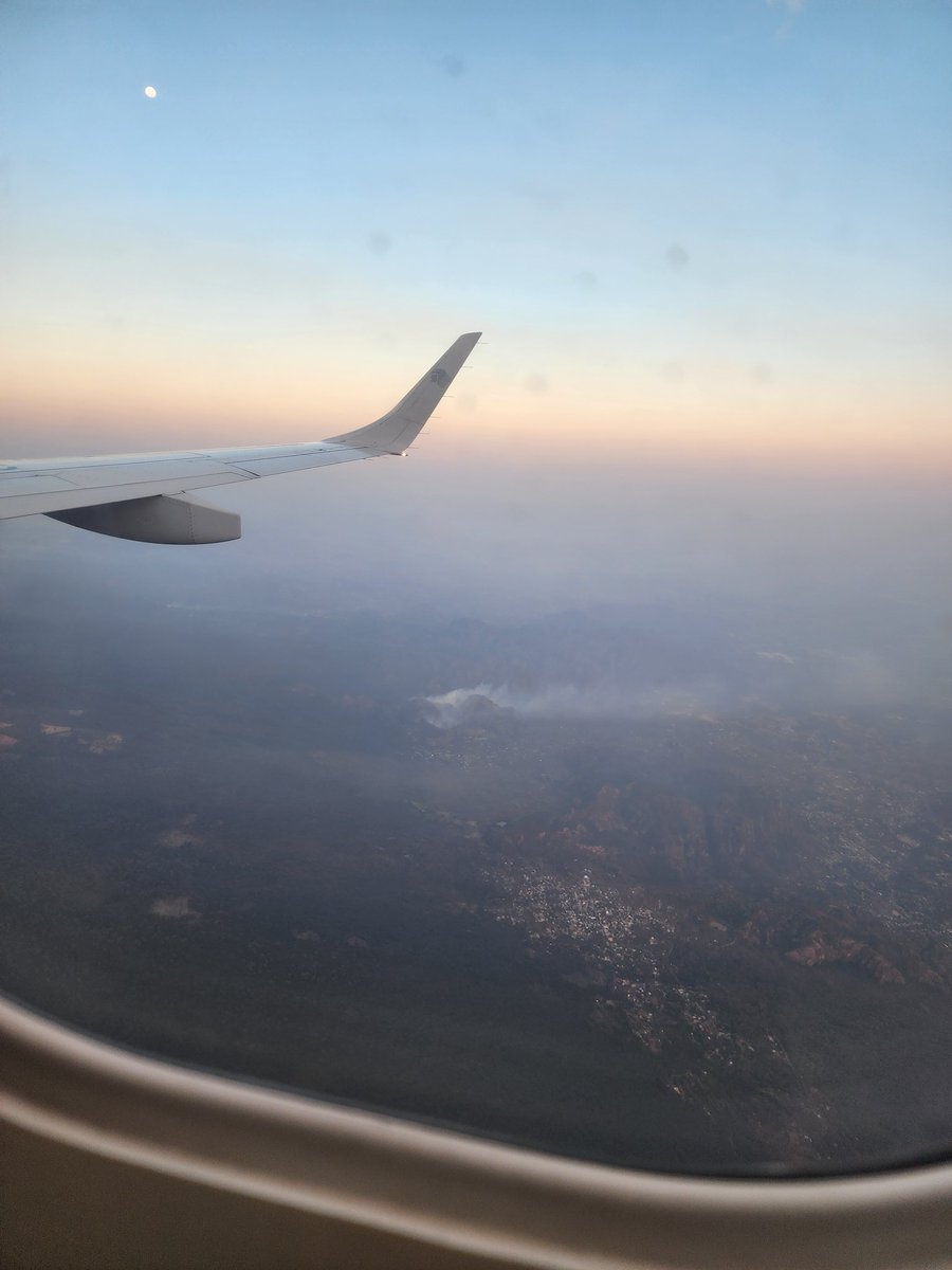 Sofi φύση tweet media