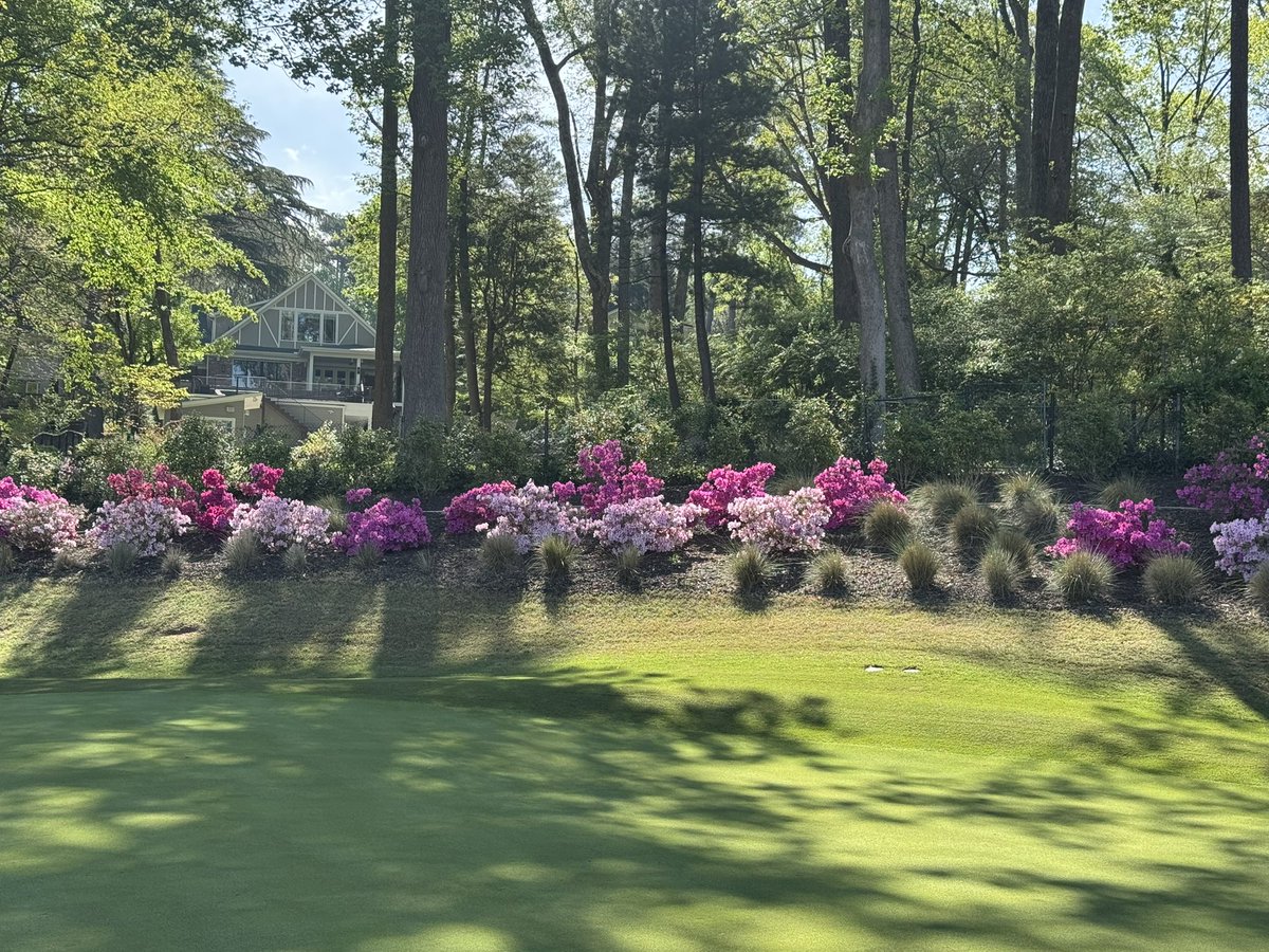 Joe Hollis tweet media