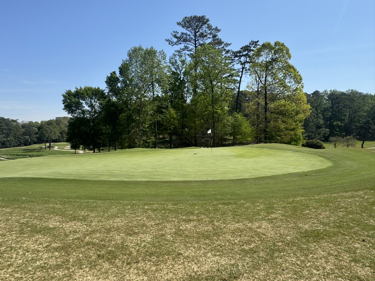 Joe Hollis tweet media