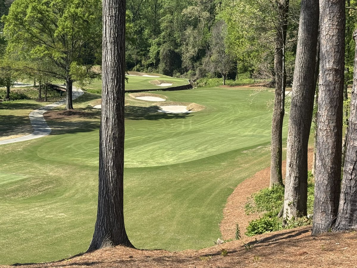 Joe Hollis tweet media