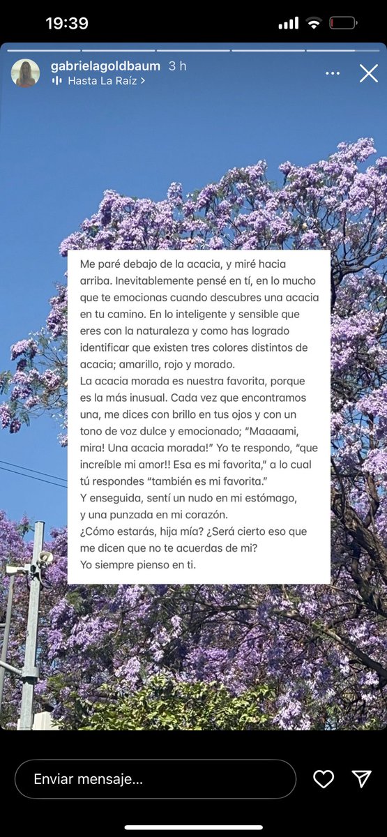 María Belén Álava ¬¬ tweet media