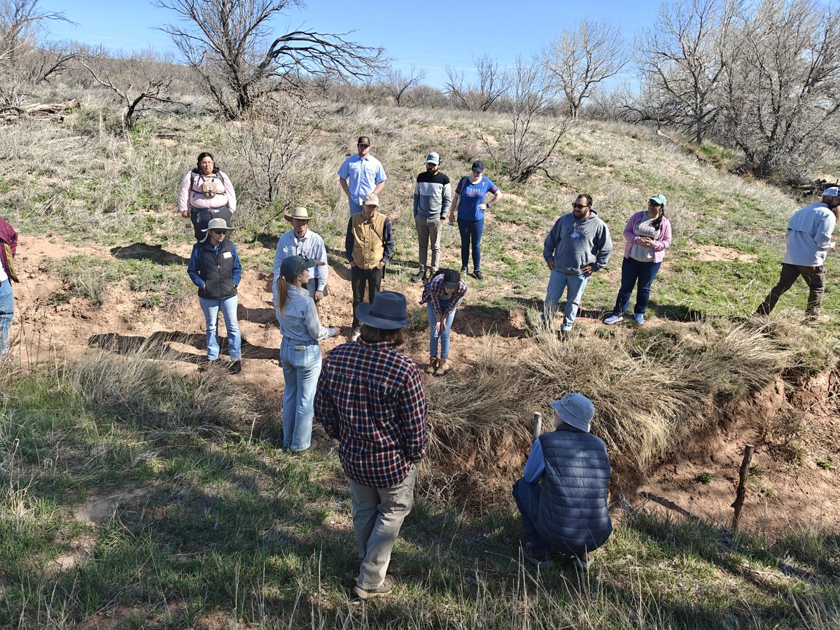 Ogallala Life💧🌱🦫🦬 tweet media