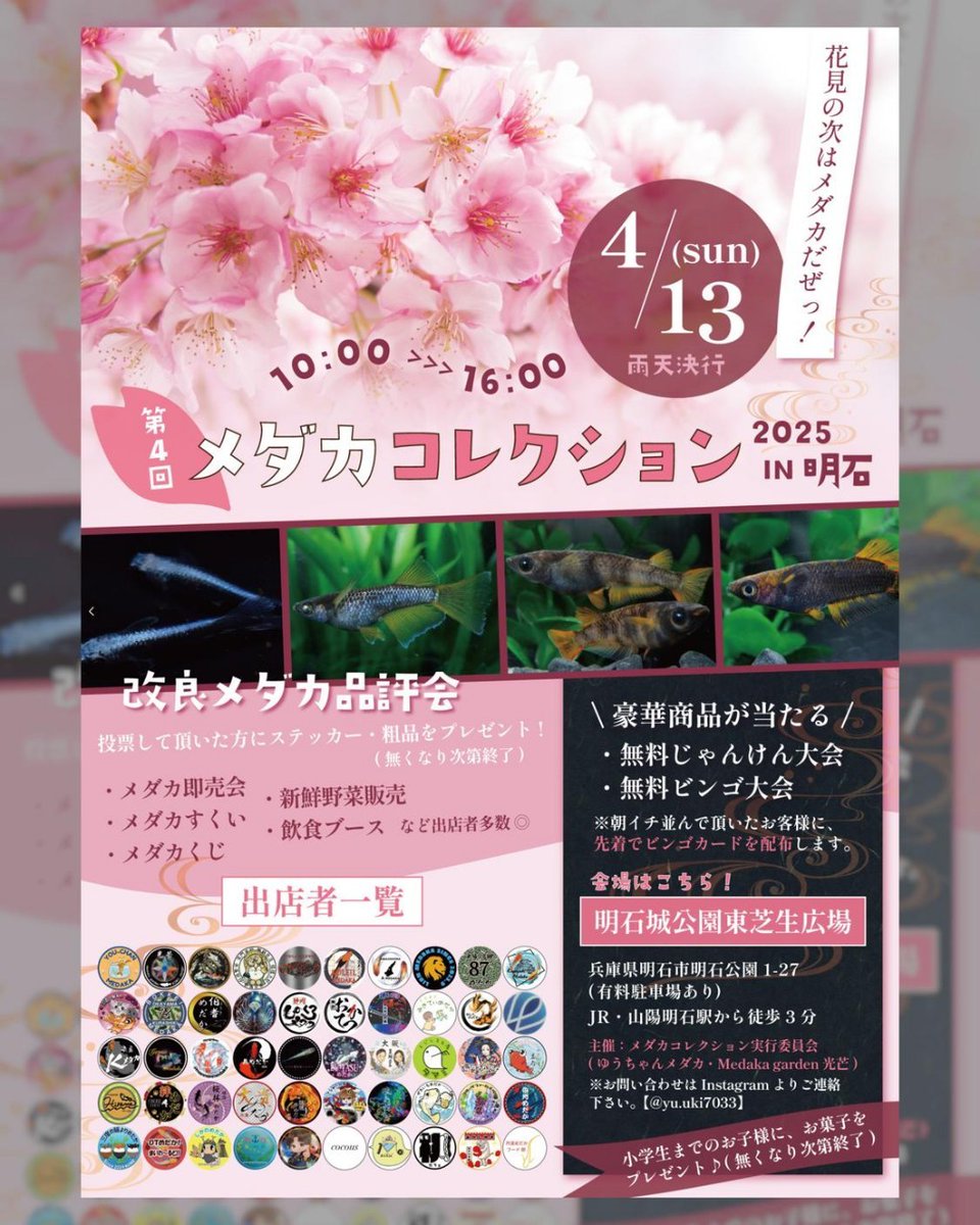 4月13日日曜日は明石公園でイベントです🎪✨