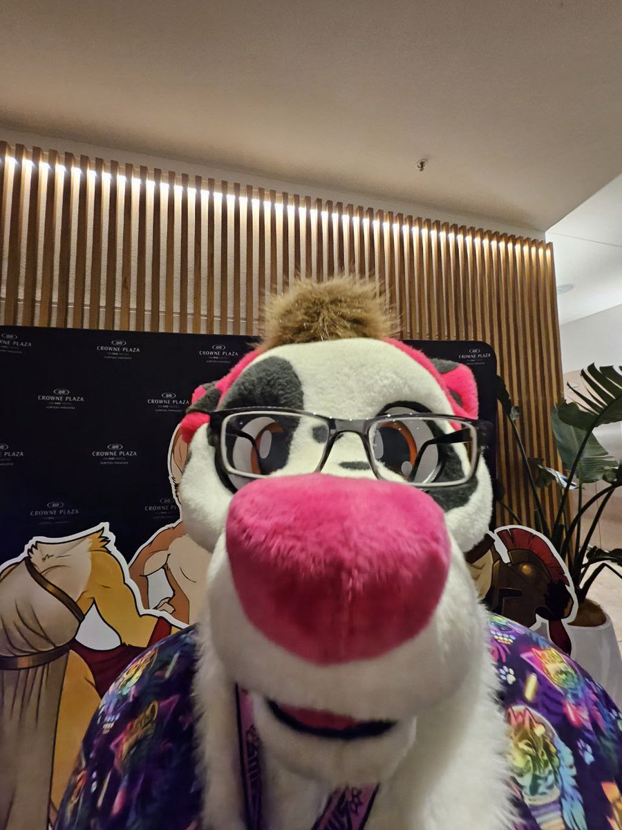 halen2244's tweet image. Erm, actually 9 + 10 is 21
#FursuitFriday #furry #fursuiting