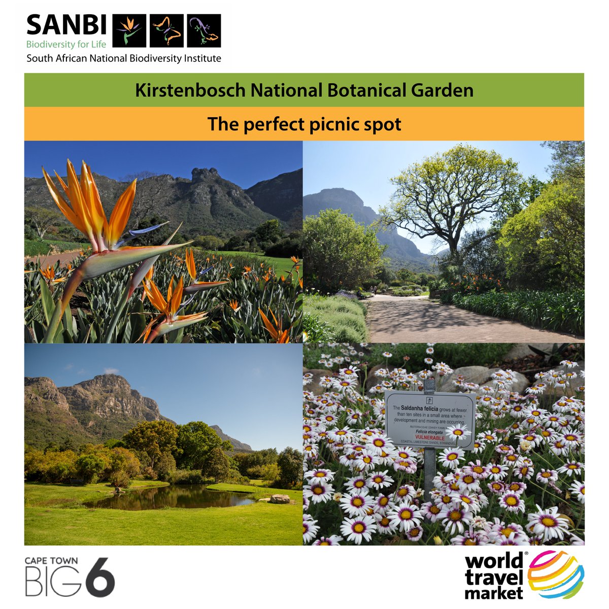 From magnificent wonders of the world to the most majestic scenes and sites, #KirstenboschNationalBotanicalGarden is proud to be a member of a collection of destinations that truly reflect African splendour.   

Visit us today at stand K02 at the CTICC to learn more about the