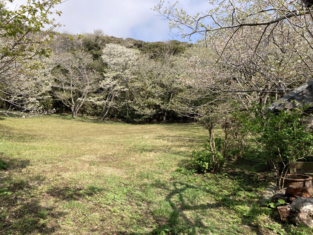 Tokyo_Toshima's tweet photo. 毎月11日は #東京諸島11島の日
4月のテーマは「春の島ピクニック」

おすすめ���「南ヶ山園地」
島の南側に位置しているので、天気が良ければ新島から御蔵島まで見ることが出来ます。
美しい景色を楽しみながら、自然の中でのんびり過ごしてみてはいかがでしょう。

#利島　#南ヶ山園地　#島ピクニック https://t.co/XQy5QnbMY2