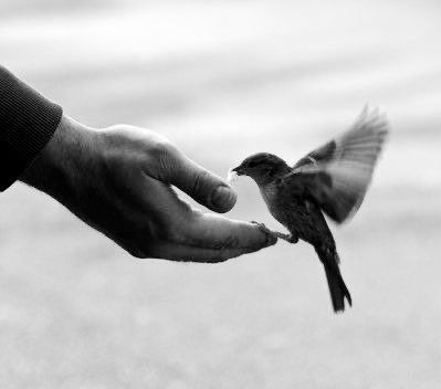 Konon apa yang kita miliki itulah yang kita bagikan.

Bila hanya Kasih yang kita miliki  maka kasih pula yang kita bagikan.

Bila hanya kebencian yang kita miliki, maka kebencian pula yang akan kita bagikan.