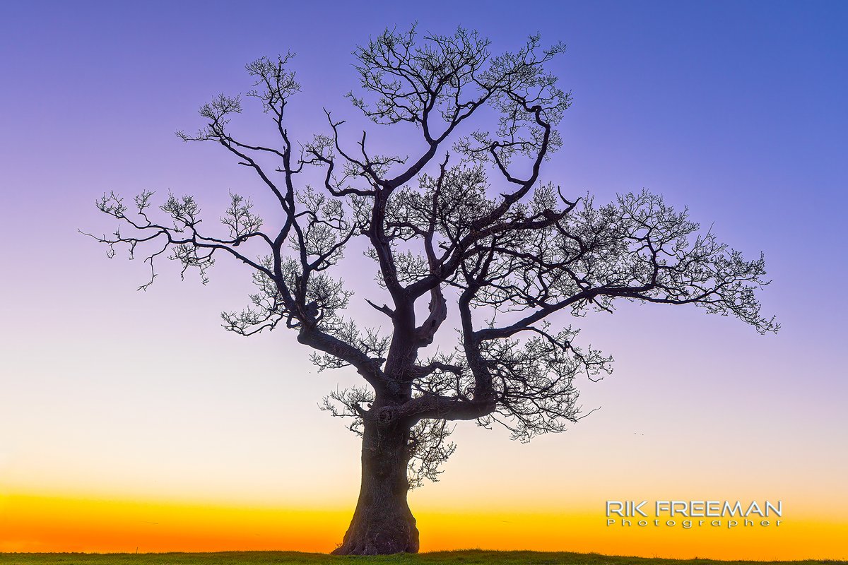 Rik Freeman Photographer (@rickfr01) on Twitter photo Life Can Be Lonely At The Top....
<a href="/CanonUKandIE/">Canon UK and Ireland</a> <a href="/BenroTripods/">Benro USA</a> <a href="/sunrisedailynow/">Sunrise Daily</a> <a href="/weatherchannel/">The Weather Channel</a> #liveforthestory Life Can Be Lonely At The Top....
<a href="/CanonUKandIE/">Canon UK and Ireland</a> <a href="/BenroTripods/">Benro USA</a> <a href="/sunrisedailynow/">Sunrise Daily</a> <a href="/weatherchannel/">The Weather Channel</a> #liveforthestory