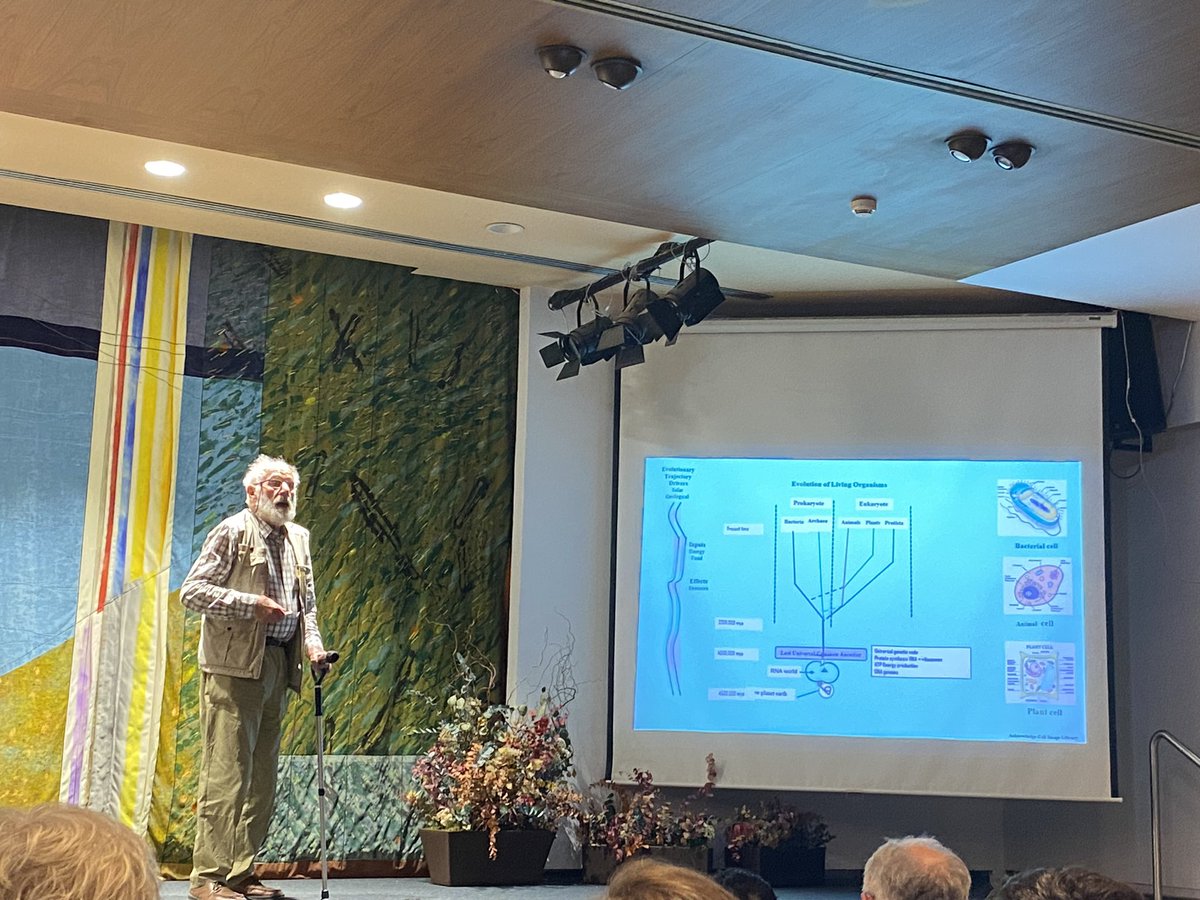 Varvara Maliogka tweet media