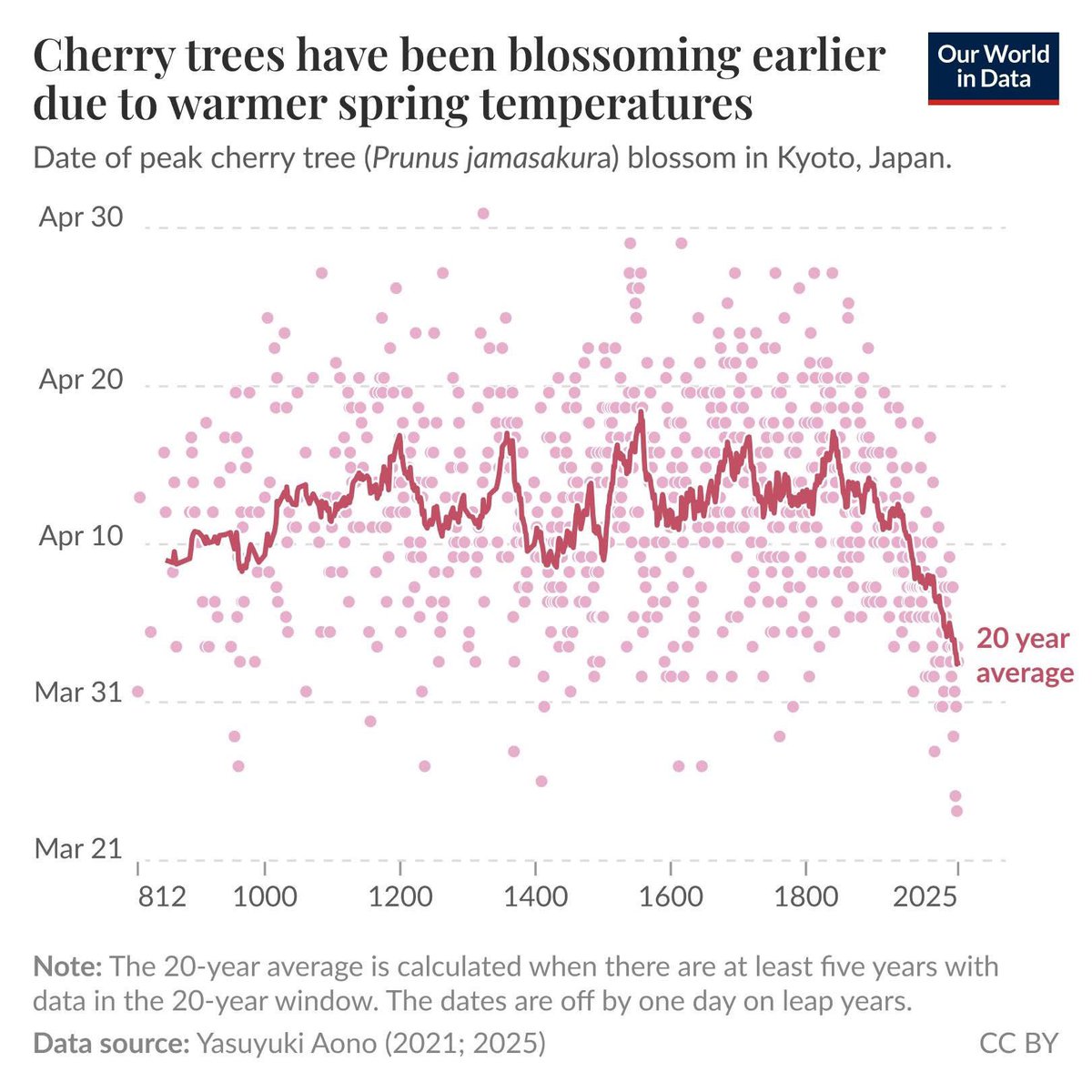peakaustria's tweet photo. A 1,200-year-old data series offers no room for conspiracy theorists and science deniers. For all those who claim that the climate has changed much more dramatically in recent centuries than it does today:

For 1,200 years, the date of the first cherry blossom has been meticulously recorded in Japan. One can see a millennium of natural fluctuation and then the significant earliness in recent years.

The cause of the change has been known for 150 years, the topic has been on the agenda of the global scientific community for 50 years, and there has been an international agreement on it for nine years. And CO2 emissions around the world are reaching new record levels every year.

And since at least one day ago, it has been clear that the #Kleiko may have money to spare, but ideas to spare – and not just when it comes to man-made climate change.

https://t.co/jycjXQwNhF via Michael Kipp