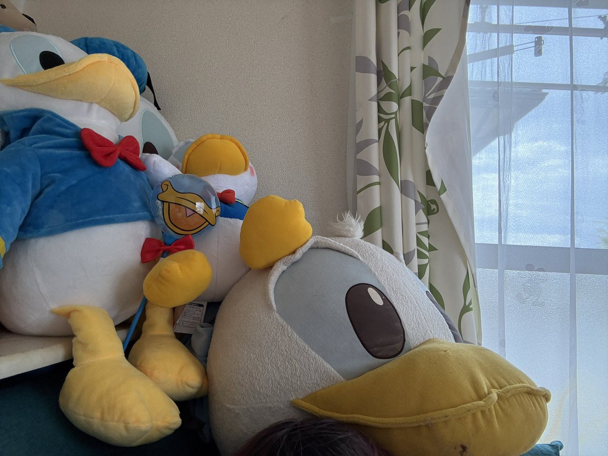 みんな違う方向向いてるやんw