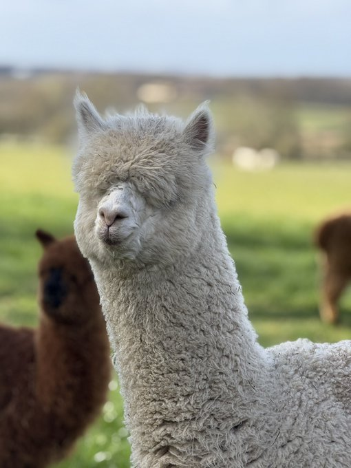 Where’s your eyes gone ?