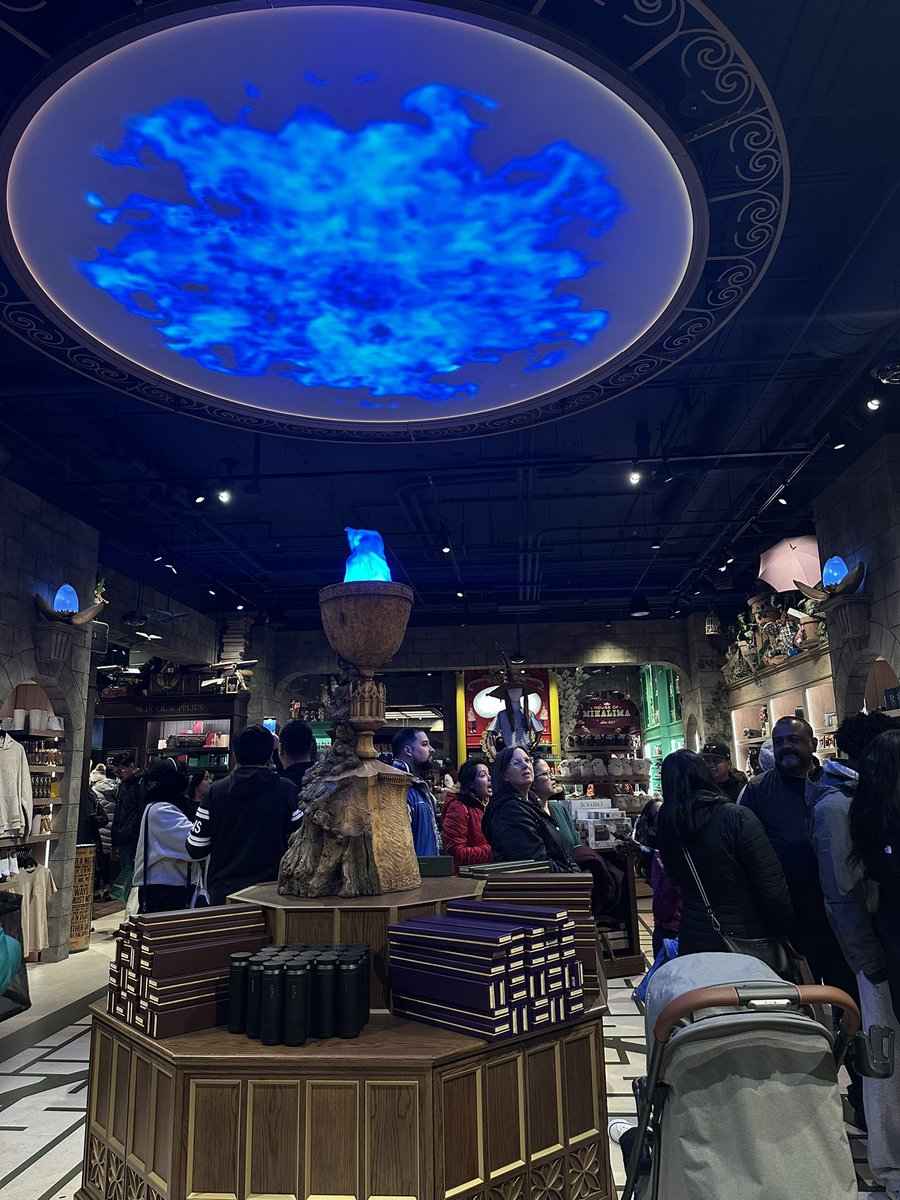 harry potter store in chicago 📍 - opening day <a href="/harrypotter/">Harry Potter</a>