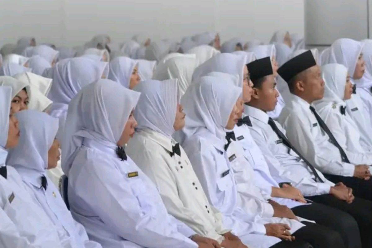 DesaBungko's tweet photo. Jangan Sampai Gagal! Ini Rincian 3.358 NIP PPPK 2024 Berstatus BTS dan Cara Mengatasinya -  https://t.co/LxcNsLD0vJ  #trend #bungkonews #breaking #fyp https://t.co/RJykqloiDP