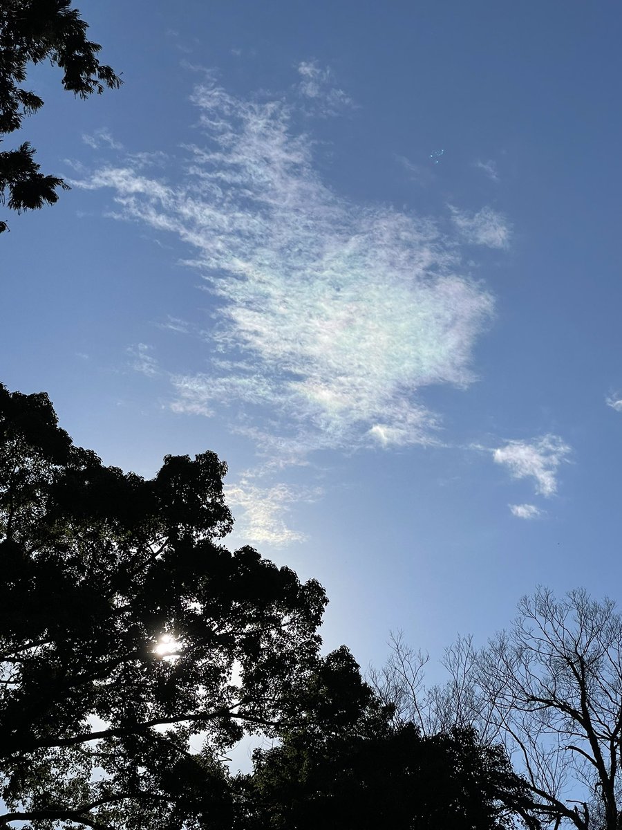 ichidou824's tweet photo. 皆さんこんにちは〜😊

暖かくなってきました🌞

今日はお勤め後にチビ達に話しした事を話します

五感のひとつ視覚
この視覚は非常にいい加減です
見えてる様で見えてない

目の前にあるのにその物を探したり
した事ないですか？⁉️🤣

この視覚（陽）で捉えられるのは極一部でしかないんです
それでは反対は死角です
観えない範囲です

死角は大半です

こちらは天氣がよく燦々と太陽に照らされてます
昼間は大半の人が空に星々を見ていません
しかし、そこにはあるのです
満天の星空が⭐️🌟⭐️死角(陰)です

空氣はあるのです、
しかし見えません💦

草むらの虫の鳴き声も同様です

見えてない世界の方が大半なのです

視覚（陽）は見る
死角（陰）は観る

この観るという意識が大切です
満天の星空を意識して感（観）じて下さい

そして、最初は意識して星々の
光を取り込んで下さい✨✨

昼夜部屋の中にいる時も同じです
意識して感じて光を取り込んで下さい

それが出来る様になったら無意識に感じとる様になって下さい

その無意識に感じとれるようになると神々(高次のエネルギー)からエネルギーを注がれてる事を感（観）じられるようになるのです

皆さんも満天の星空の光を取り込んでいける事を切に願います🙏🏻

覚醒へ向けて

✨自分自神　無意識に観る✨

アニメソングでもどうぞ(笑)
https://t.co/zufkLdCXpK
