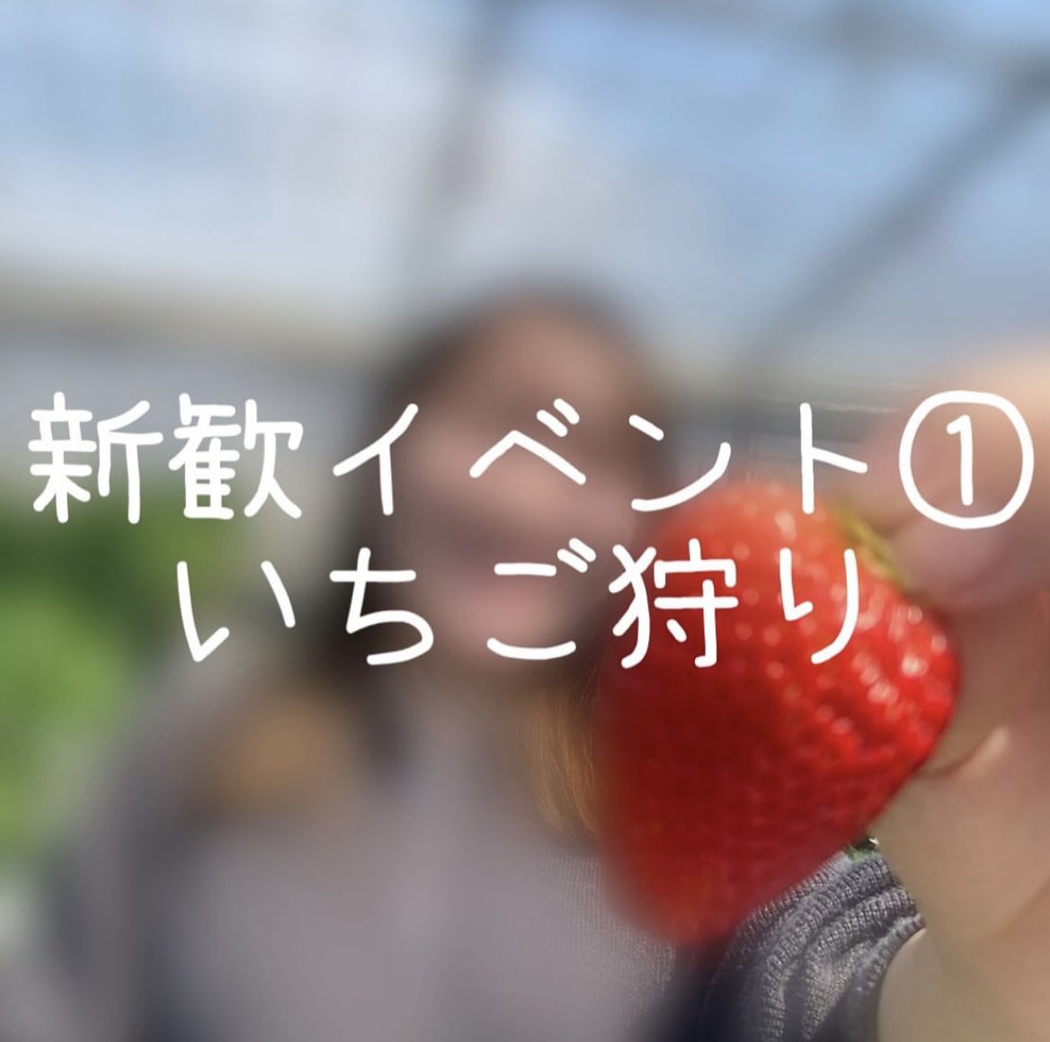 flow_orchestra's tweet photo. こんにちはフロオケです！
今年も新歓企画として🍓いちご狩り🍓を行います✨
⭐️日程：4/12（土）11:00～13:00
⭐️集合日時：昭和キャンパス学生駐車場　10:20
新入生は無料❗️ぜひご参加ください🥰
参加希望の方は以下のフォームにご入力いただけますと幸いです👇
https://t.co/lt3BsYTeuv
#春から群大 https://t.co/tbvA0f7CQ5