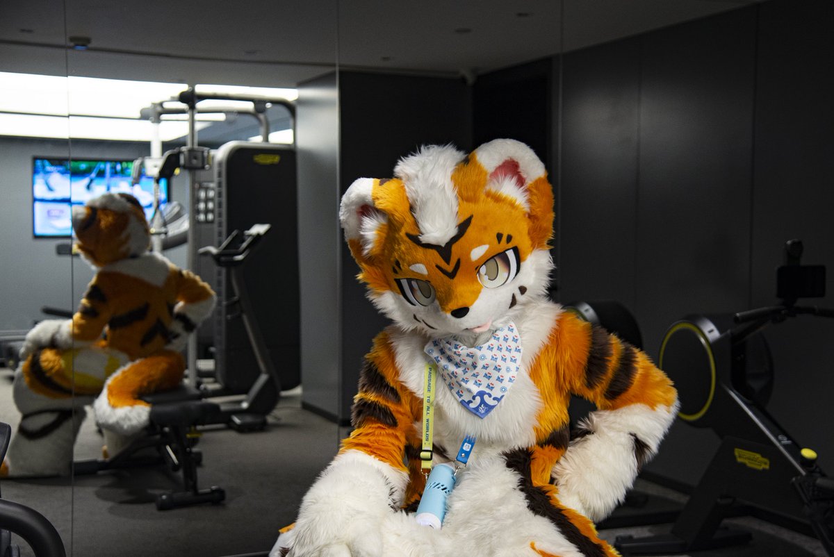 baicai_coin's tweet image. 组间休息ing
#FursuitFriday 
毛替：@FoxKohaku
