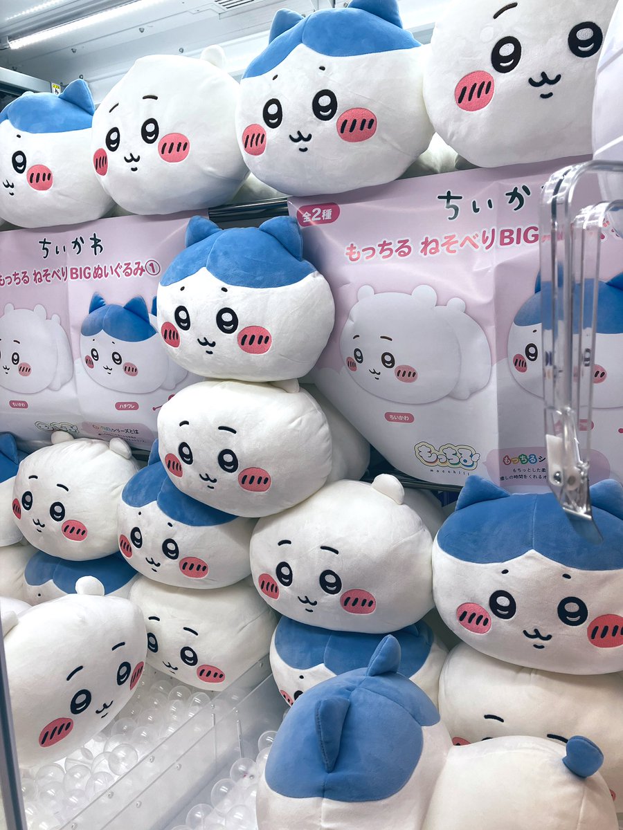 新景品✨】 #ちいかわ のもっちるねそべりBIGぬいぐるみが登場