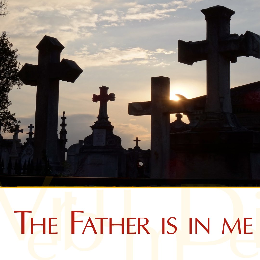 Vatican News tweet media