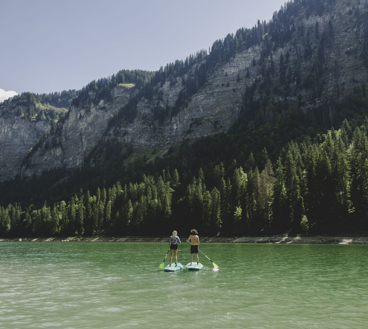 More Mountain tweet media