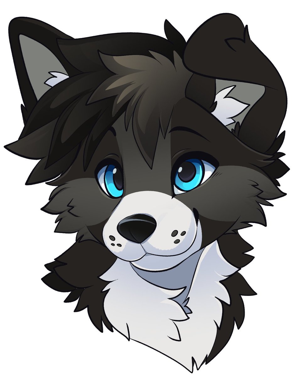 Feve 🔜 Anthrocon tweet media