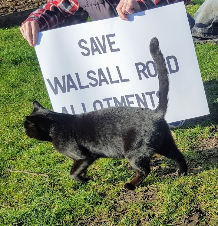 AllotmentCat's tweet photo. (Janet) It's SIX YEARS since our allotments were saved from the bulldozers! 
Robert played a major part in the campaign. He went to many meetings and was  in the press and on TV. 
We had amazing support from our followers and we will always be grateful to them ... and to Robert. https://t.co/ZaPB8iIxif