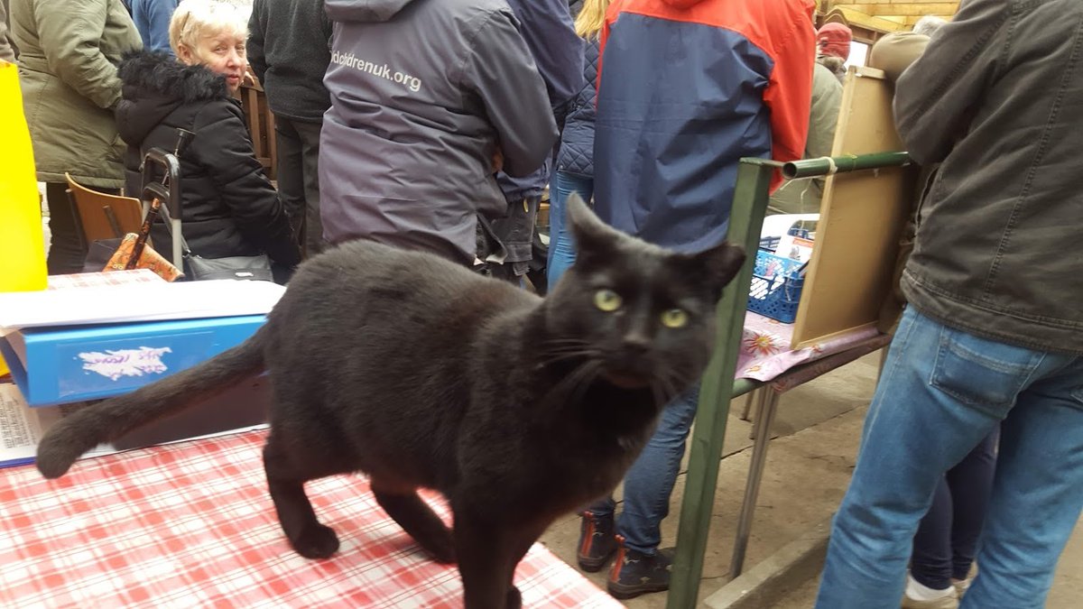 AllotmentCat's tweet photo. (Janet) It's SIX YEARS since our allotments were saved from the bulldozers! 
Robert played a major part in the campaign. He went to many meetings and was  in the press and on TV. 
We had amazing support from our followers and we will always be grateful to them ... and to Robert. https://t.co/ZaPB8iIxif