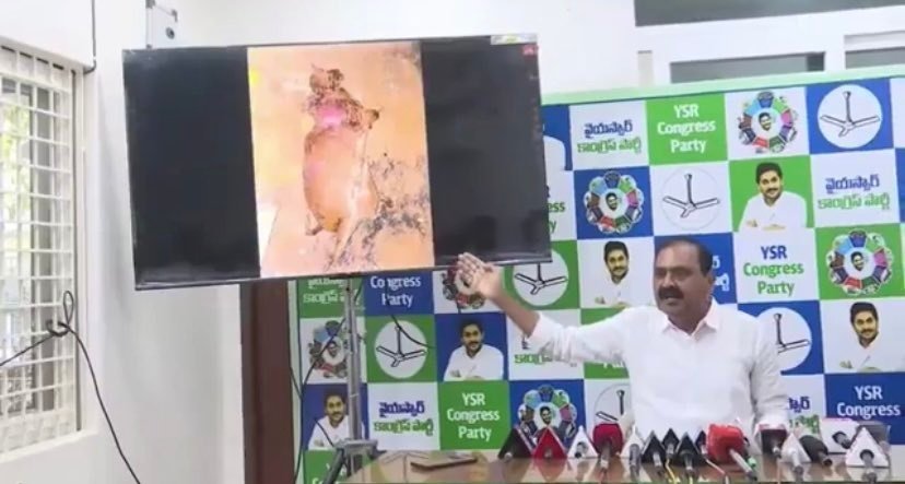 pbysjtrends's tweet image. Shocking And Heartbreaking Scenes😭

#JusticeForTTDCows