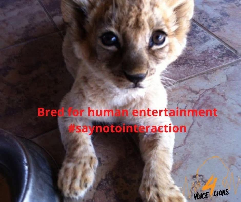 LindaPa60824893's tweet photo. #SayNoToInteraction https://t.co/hP5uWvS8sm