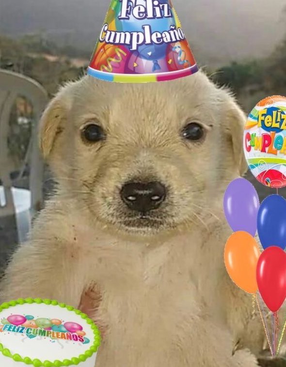 aciddcherry's tweet photo. Balloon day! 🎂 https://t.co/TkFsHg0GzA