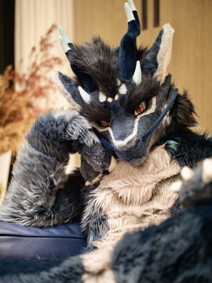 Moki (@MokiThePanther) / Posts / X