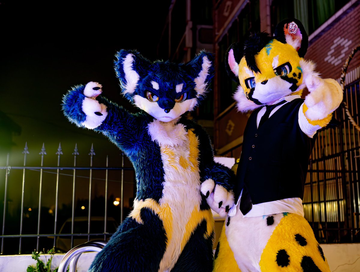 狼と豹，
夜が深まったな…俺ら猛獣の狩り時間だぜ。
ご用心あそばせ。
🐆：<a href="/lope0808/">ロペ💖ペロ</a> 
📷：<a href="/IFCT_Wute/">武-特</a> 
#FursuitFriday