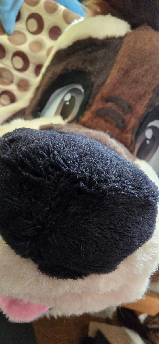 Happy #FursuitFriday 
Benji's almost done ;3