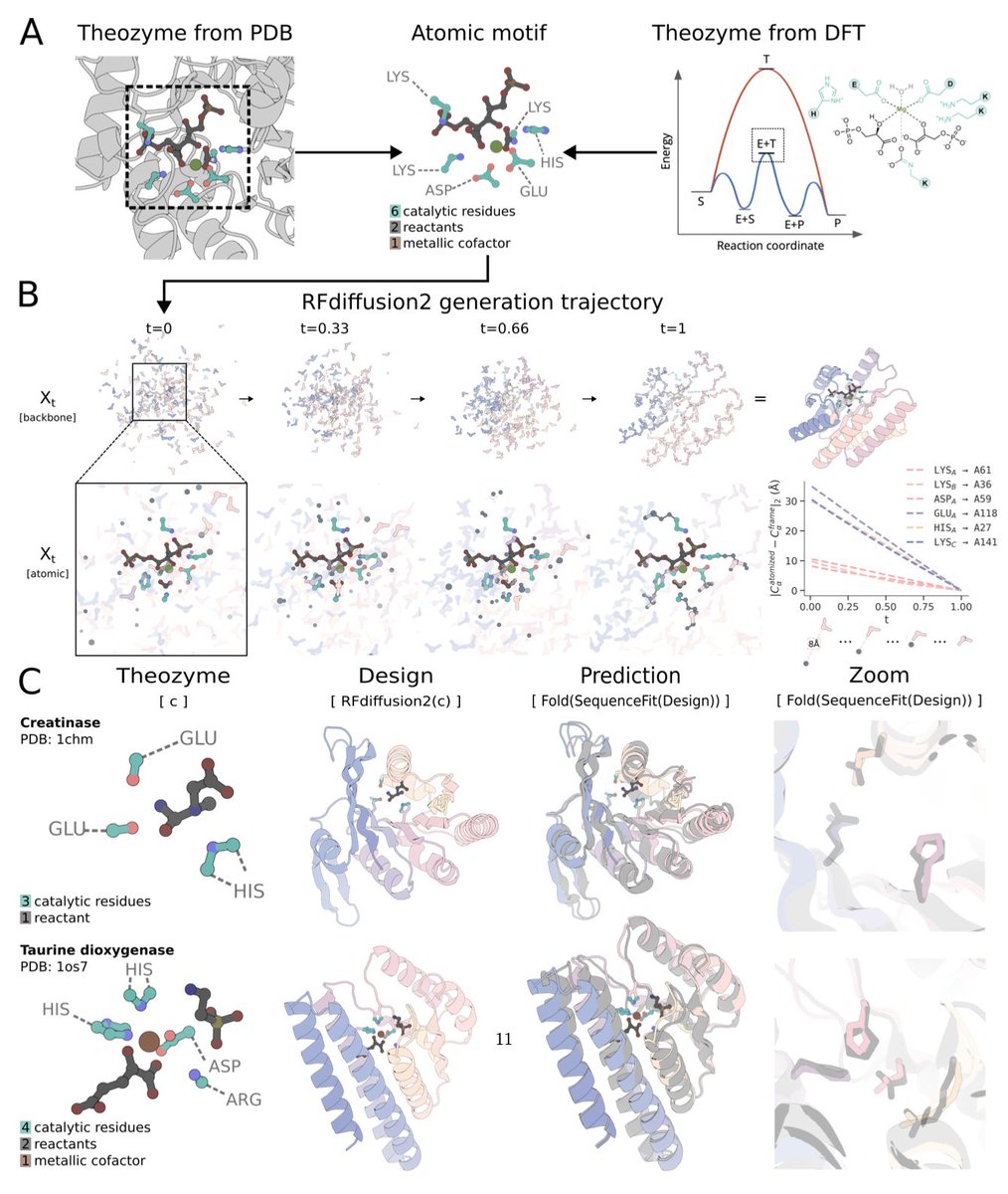 Atom level enzyme active site scaffolding using RFdiffusion2

🚀 New preprint from David Baker!🚀

1. RFdiffusion2 introduces a generative model that designs functional enzymes directly from atomic-level active site descriptions—without needing predefined sequence indices or