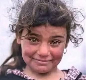 binler's tweet image. #PalestinianGenocide 

#AliRızaAydın