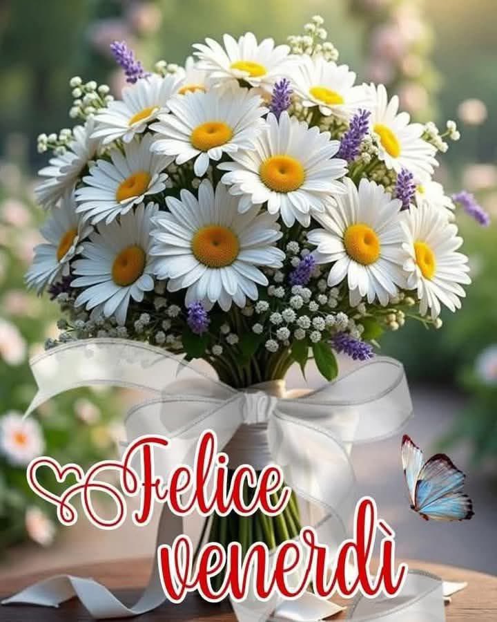 RITABIANCHi56 tweet media