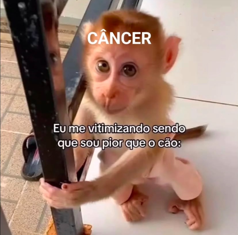 cancerdadepre's tweet photo. https://t.co/4UDSJjjhTj