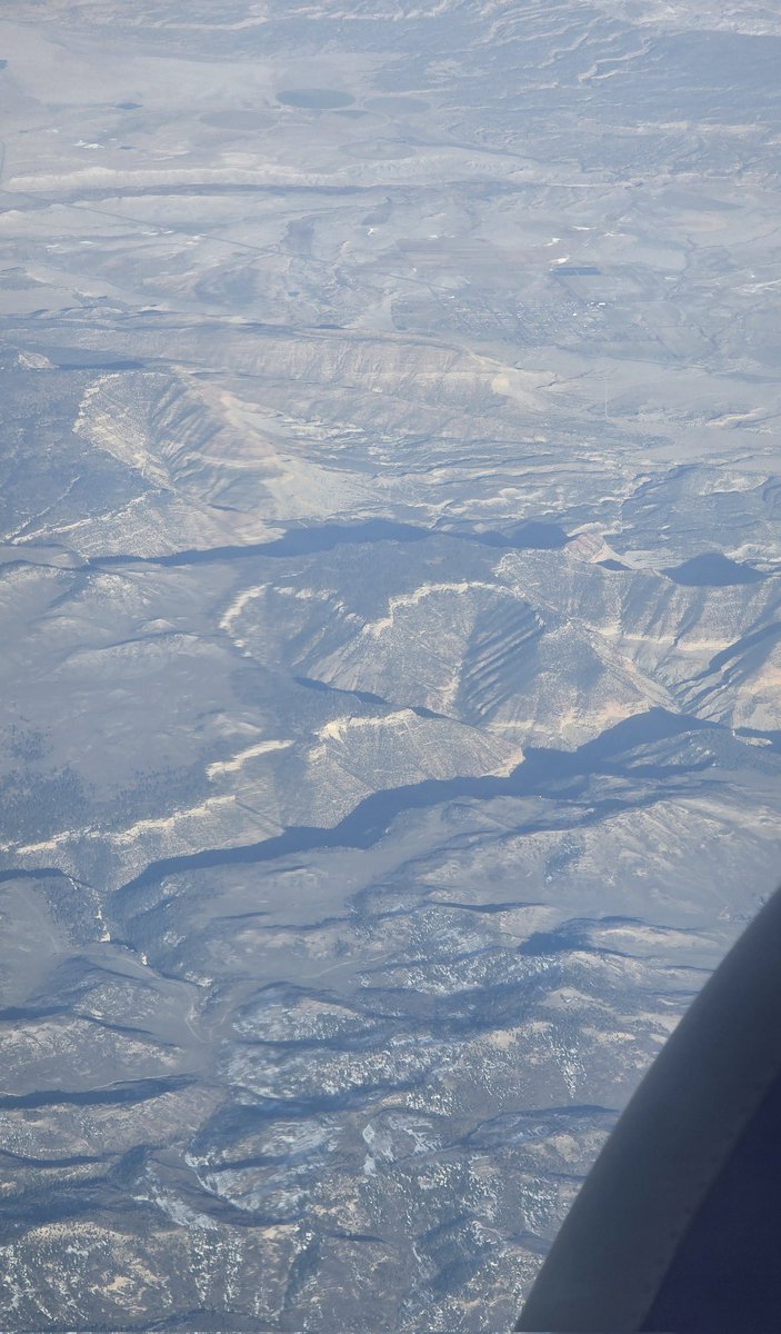 Taylor 💛🦌 tweet media