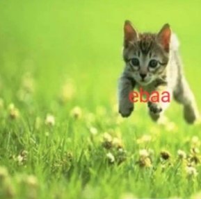 mulhollandykee's tweet image. sou não mono mas morro de ciúmes #perdão