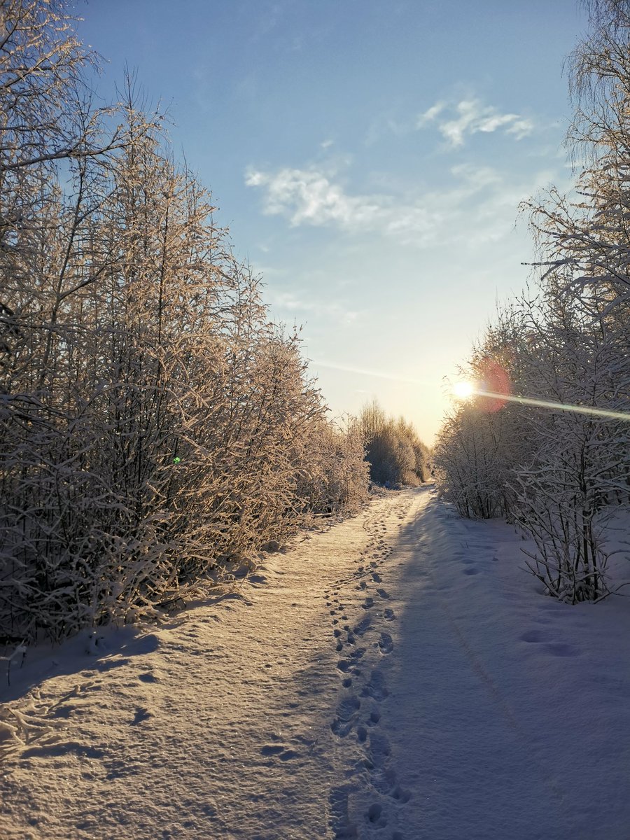 s zavoda tweet media